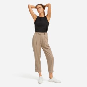 Everlane Pleated Pants Clay